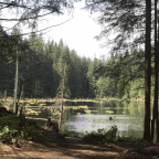 First Go At Chuckanut / Blanchard North-South Thru Hike