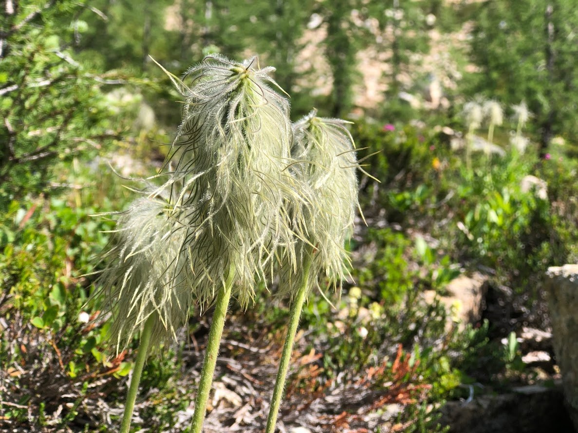 12f5a940-cb87-4f4e-a3ba-7485d8ee5499