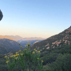 PCT 2025 – Giving It Another Try